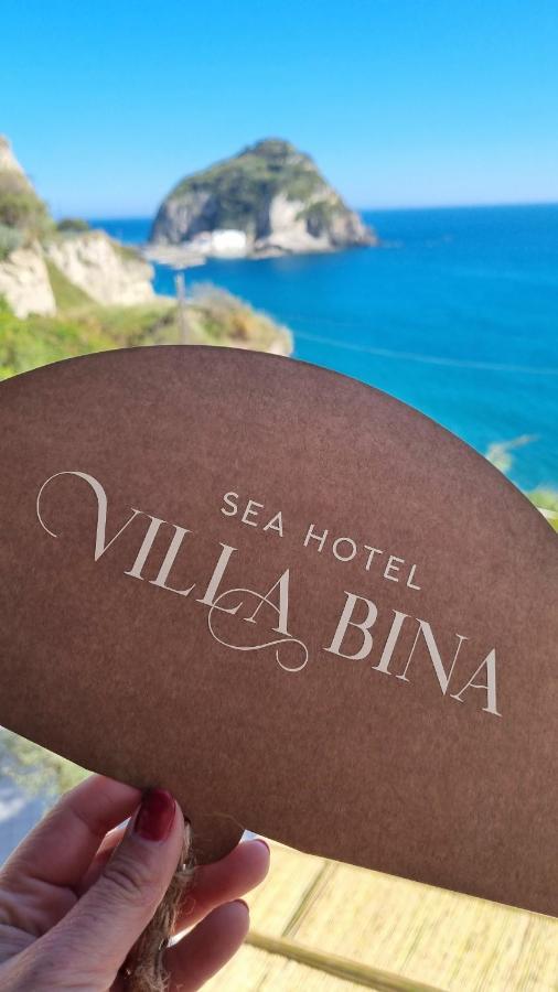 Sant'Angelo  Villa Bina Sea Hotel מראה חיצוני תמונה